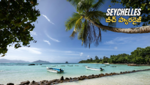 Seychelles Travel Guide