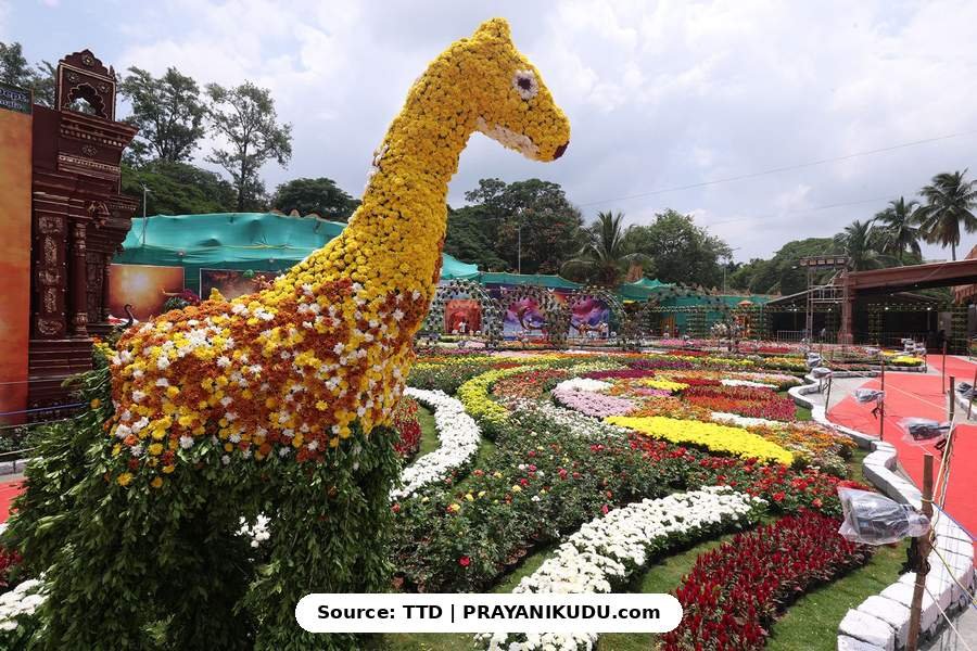 తిరుమల బ్రహ్మోత్సవాలు 2026 - దర్శనం తర్వాత ఎక్కడికి వెళ్లాలి? | Tirumala flower exhibition 2026 5 Yellow flower giraffe sculpture at Tirumala TTD flower exhibition chrysanthemum