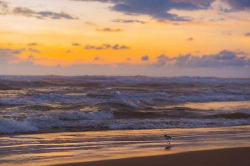 Gokarna, Karnataka : గోకర్ణ బీచులో కొత్త సంవత్సం అటు జేబుకు జేబు వెనకాల ఉన్న గుండెకు, రెండింటికీ మంచిది.