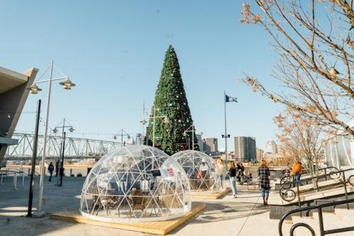 కెంటకీ ఫర్ క్రిస్మస్ | Kentucky for christmas 
