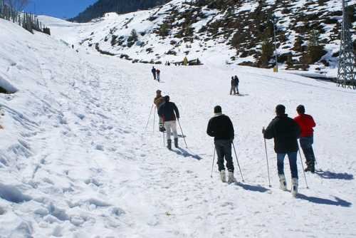 ఓలి | Auli : ఆలీ, ఓలీ, అలి ఇలా పలు రకాలుగా పిలుస్తుంటారు. ఇది వింటర్లో వెళ్లాల్సిన అద్భుతమైన ప్రదేశం. ( Pexels )