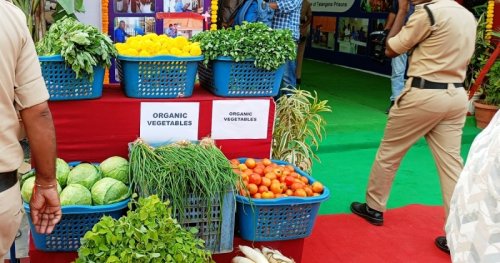 సేంద్రీయ ఎరువులతో పండించిన కూరగాయలను కూడా ఈ స్టాల్‌లో అందుబాటులో ఉంచారు. అందుబాటు ధరలోనే వీటిని అమ్ముతున్నట్టు సిబ్బంది తెలిపారు. 