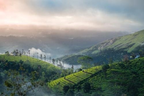 Munnar, Kerala : మున్నార్‌ చాలా సినిమాటిక్ వ్యూ అందించే సందర్శనీయ స్థలం. ఎంత చూసినా తనివితీరని అందం దీని సొంతం