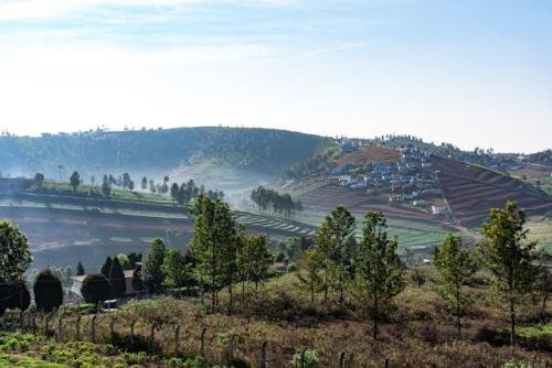Ooty, Tamilnadu : ఊటిని క్వీన్ ఆఫ్ హిల్ స్టేషన్ అని కూడా పిలుస్తారు. ఇక్కడ ప్రతీ చోట నేచర్ బ్యూటి కనిపిస్తుంది.