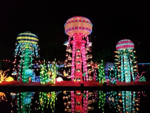  లాంతర్న్ ఫెస్టివల్ | Giant Lantern Festival ( Philippines )