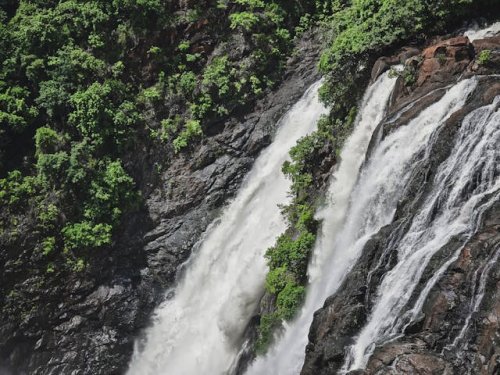 1.Where is Jog Falls Located : జోగ్ జలపాతం ( Jog Falls Location ) అనేది కర్ణాటకలోని సాగర అనే పట్టణంలో ఉంది. 253 మీటర్ల ఎత్తునుంచి జాలువారే ఈ జలపాతం ప్రకృతి రమణీయతకు కేరాఫ్ అడ్రెస్‌గా నిలుస్తుంది. ఇక్కడి శరావతి నది ( Sharavathi ) వల్ల ఈ జలపాతం ఏర్పడుతుంది. వర్షాకాలంలో అంత ఎత్తు నుంచి నీరు జాలువారే జలపాతాన్ని చూస్తే మరో ప్రపంచంలో ఉన్నామా అనిపిస్తుంది. 