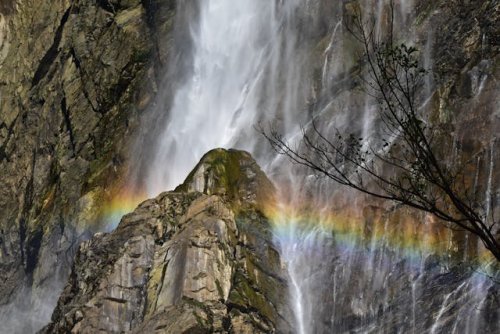 3. Best time to visit jog falls : జోగ్ జలపాతం  వెళ్లేందుకు వర్షాకాలం చాలా అనువైన సమయం. ఎందుకంటే తాజా వర్షాల వల్ల జలపాతం నిండుగా జారిపడుతుంది. చూడటానికి చాలా అందంగా ఉంటుంది ఆ సీన్. అయితే ఫిబ్రవరి నుంచి మే మధ్యలో వాతావరణం చాలా ఆహ్లాదకరంగా ఉంటుంది. మీరు చుట్టు పక్కల ప్రాంతాలను కూడా అన్వేషించవచ్చు ( Anveshana ).