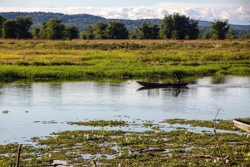  జాంబియా | Zambia :  విక్టోరియా ఫాల్స్ జాంబియా నుంచి కూడా కనిపిస్తుంది. దీంతో పాటు ఇక్కడి అడవుల్లో సాహసయాత్ర, సఫారీ అనేవి మర్చిపోలేని అనుభూతిని ఇస్తాయి. జాంబియా ఈ వీసా అప్రూవల్ కోసం 1-2 టైమ్ పడుతుంది. 30 రోజులు ఈ వీసాకు వ్యాలిడిటీ ఉంటుంది.| Photo: Pixabay
